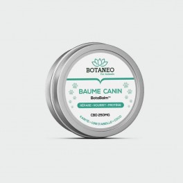 Balsamo al CBD per cani - Botaneo | Cosmetici CBD all'ingrosso | Greenvillage.fr