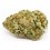 Godzilla CBD  Indoor - Wholesale CBD bud| Greenvillage.fr