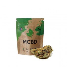 Orange Bud CBD GreenHouse - Wholesale CBD bud| Greenvillage.fr