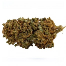 Vrac Super Skunk CBD GreenHouse - Grossiste fleur de CBD | Greenvillage.fr