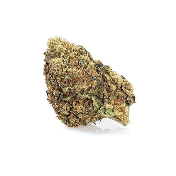 Master Kush CBD GreenHouse - Wholesale CBD bud| Greenvillage.fr