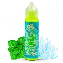 Ice Mint 50ML - Fruizee – Wholesale e-liquid | Greenvillage.fr