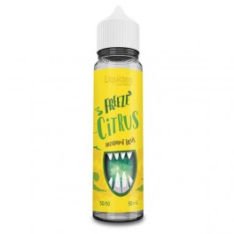 Freeze Citrus 50ML - Liquideo | Grossista sigaretta elettronica – Greenvillage.fr