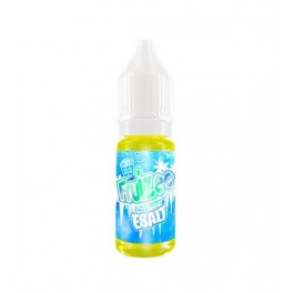 Ice Mint 10ML Sel de nicotine - Fruizee