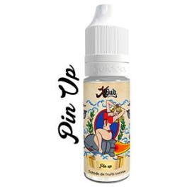 Pin Up 10ML de Xbud