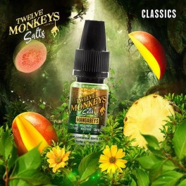 Mangabeys (Sel de nicotine) 10ML - Twelve Monkeys