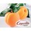 Concentre Apricot 10ML de Capella (1)