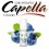 Concentre Blueberry 10ML de Capella  (7)