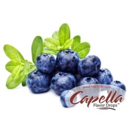 Concentre Blueberry 10ML de Capella  (7)