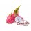 Concentre Dragon Fruit 10ML de Capella (84)