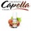 Concentre Hazelnut V2 10ML de Capella 35)