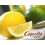 Concentre Lemon Lime 10ML de Capella (88)