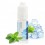 Concentre Menthe glaciale 10ML de Solana  (C15)