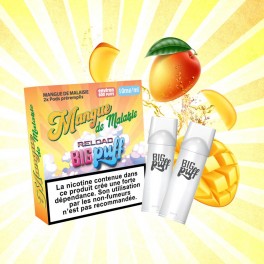 Pod Mangue de Malaisie - Big Puff Reload (Pack 2) | Grossiste puff e cigarette jetable | Greenvillage.fr